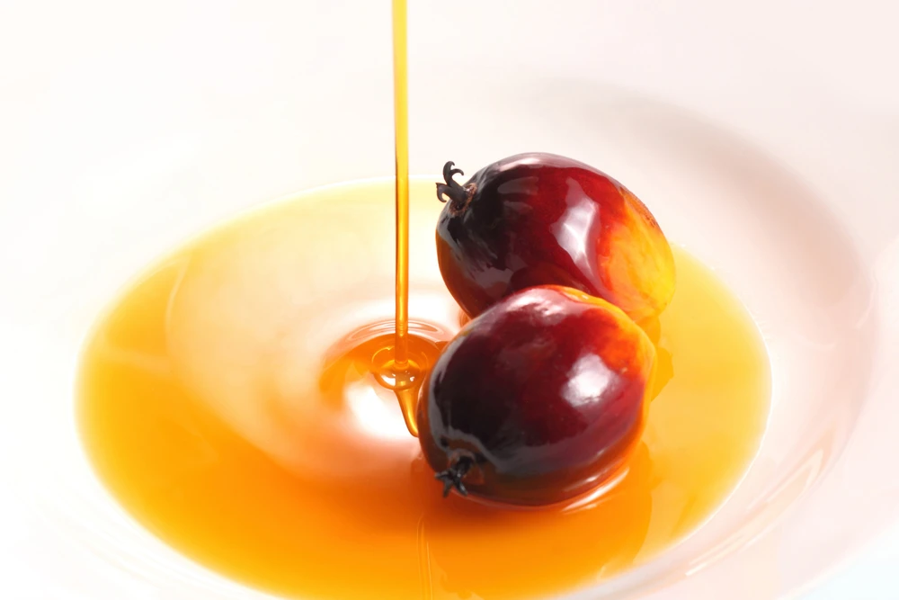 Palm oil – what´s behind the wave of hate